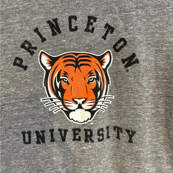 Princeton University League Heather Gray T-Shirt - Picture 2 of 4